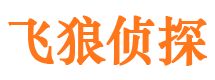 宁蒗市私家侦探